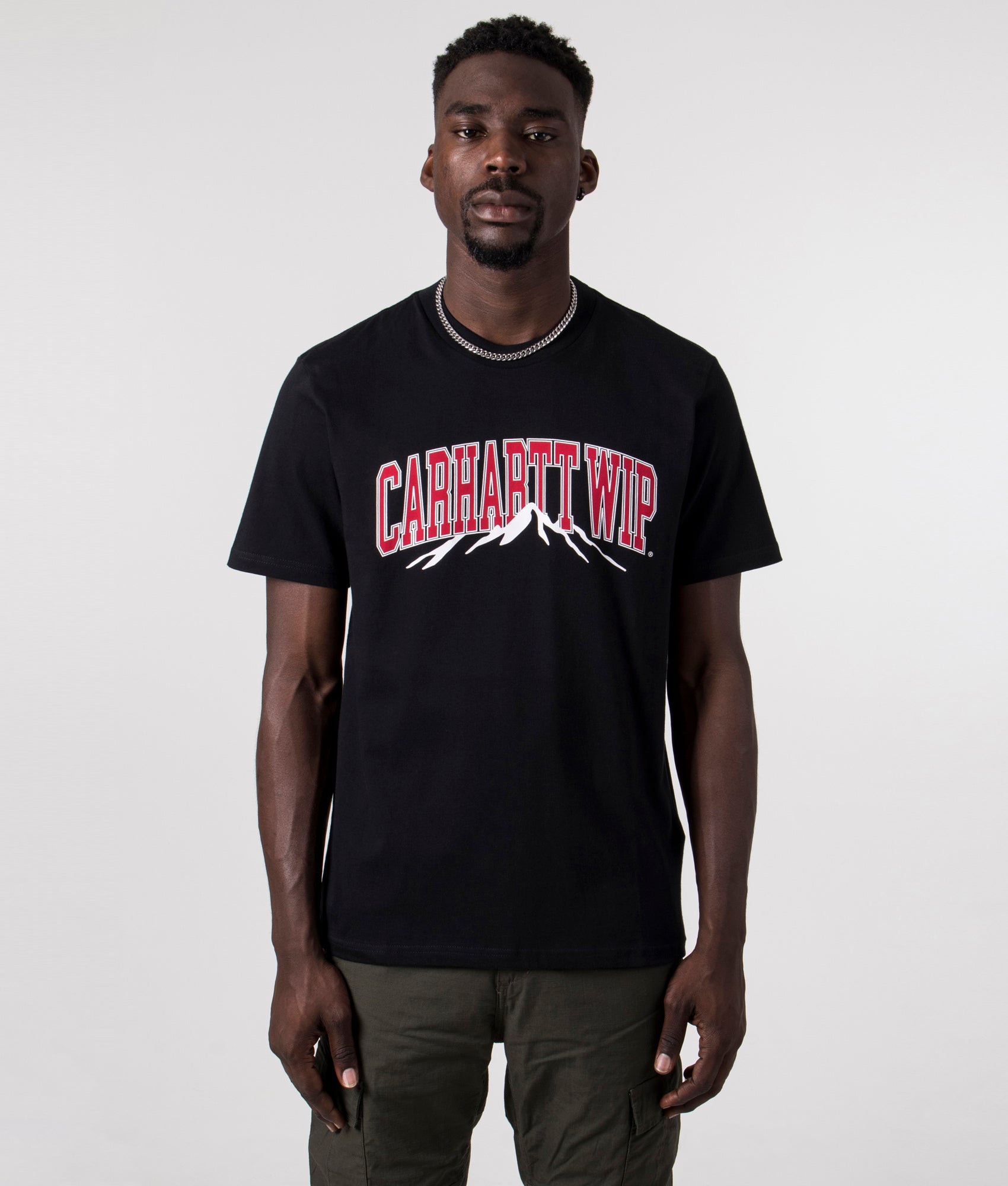 carhartt t shirt college