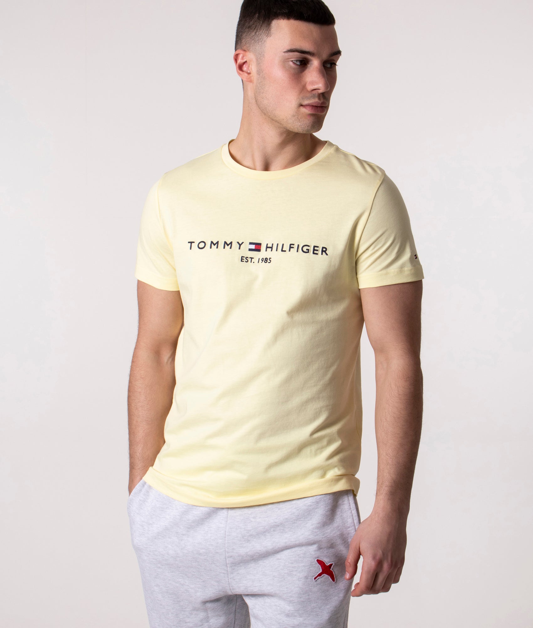 tommy hilfiger printed t shirts