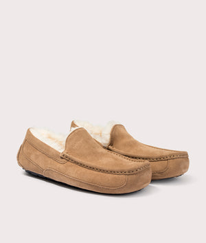 Ascot Slippers in Chestnut by UGG. Shot at EQVVS. Side angle shot. 