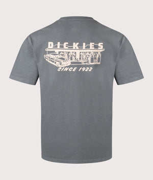 Dickies Service Station T-Shirt in Stormy Weather. Shot at EQVVS. Back shot. 