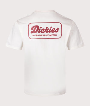 Dickies Lewistown T-Shirt in Egret. Shot at EQVVS. Back shot. 