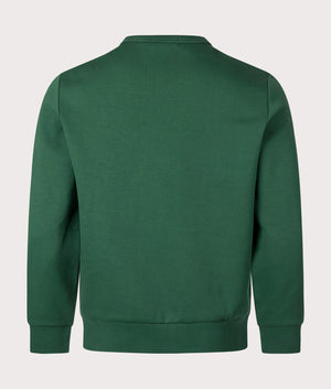 Embroidered Logo Double Knit Sweatshirt in Vintage Pine by Polo Ralph Lauren. EQVVS Shot.