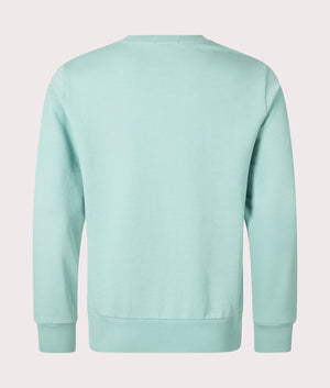 Polo Ralph Lauren Loopback Terry Sweatshirt in Deep Seafoam. Shot at EQVVS. Back shot. 